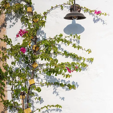 Demati House Дом отдыха *