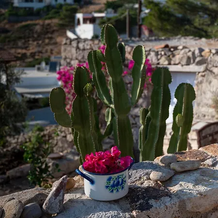 Дом отдыха Demati House *