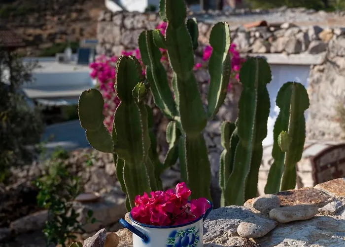 Ferienhaus Demati House *